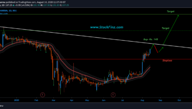 Bliss GVS Pharma