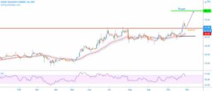 Shree Digvijay Cement Share Analysis