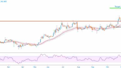 Shree Digvijay Cement Share Analysis