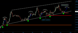 Trent Share Analysis