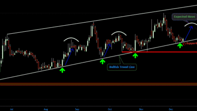 Trent Share Analysis